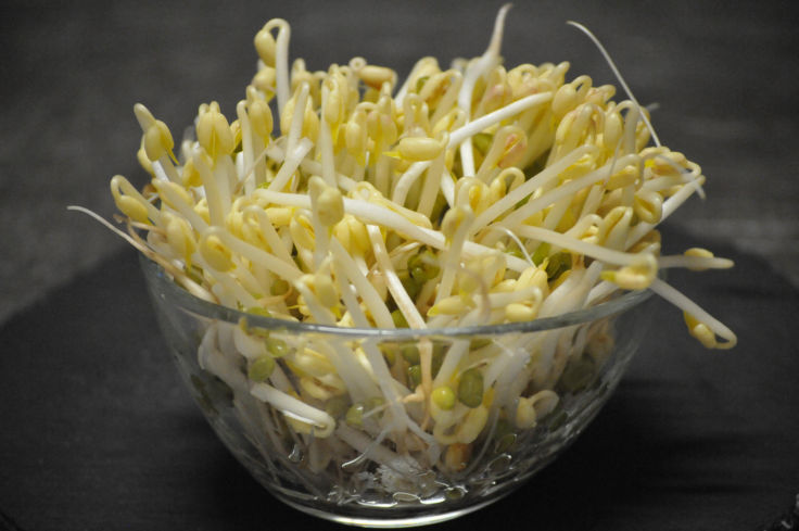 Bio Mungosprossen